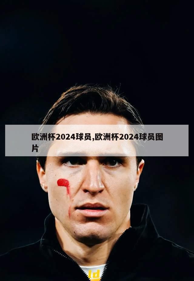 欧洲杯2024球员,欧洲杯2024球员图片